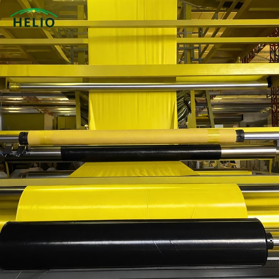 Black Yellow Mulch Film price